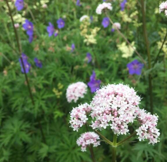 민박 Inglenook Guest House