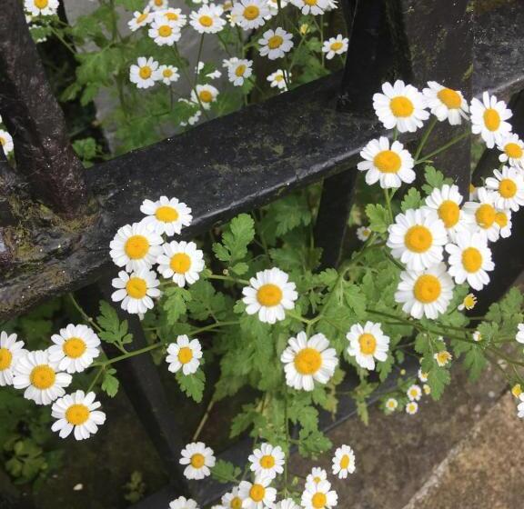 민박 Inglenook Guest House