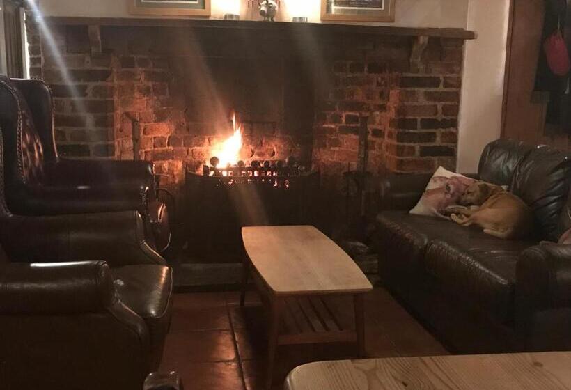 مبيت وإفطار The Red Cow