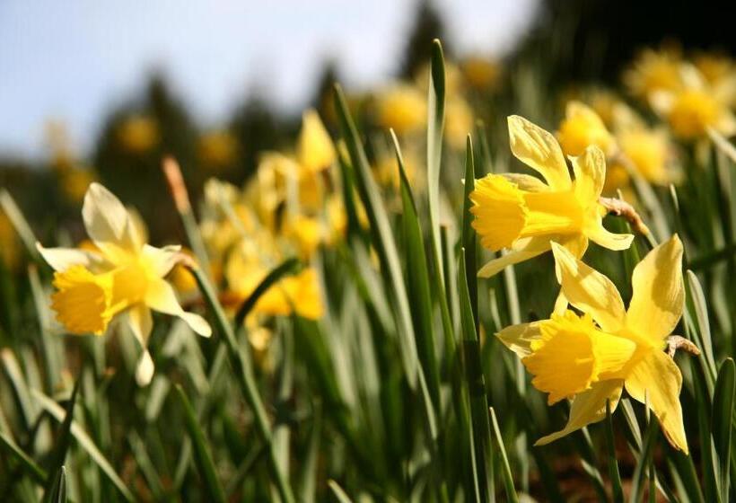 Gästehaus Im Tal 18