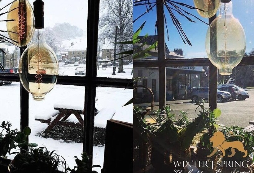 فندق فئة نجمة واحدة The Golden Lion  Allendale