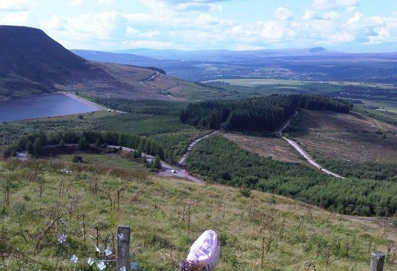 Хостел The Hendrewen