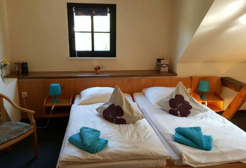 Отель Altes Bierhaus