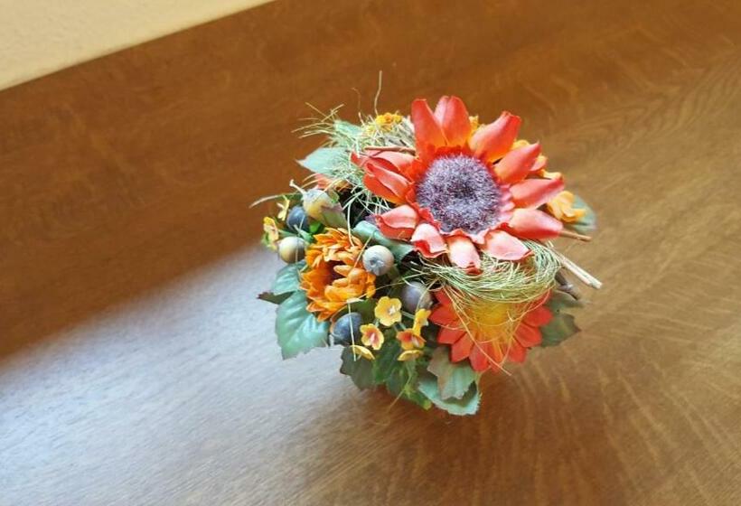 Отель Altes Bierhaus