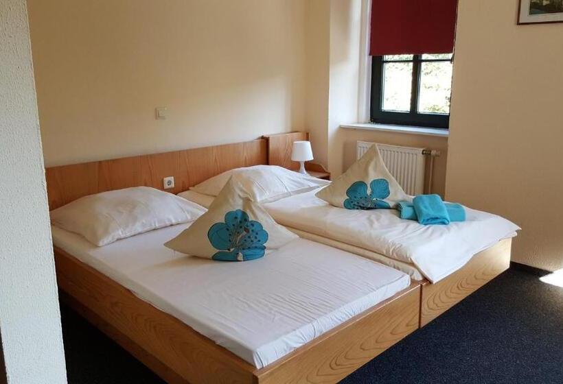 Отель Altes Bierhaus