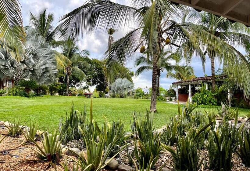 Отель Amaranthus