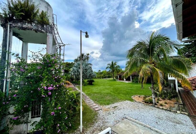 Отель Amaranthus