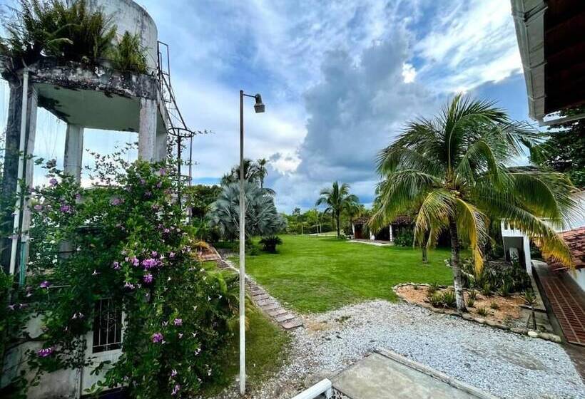 Отель Amaranthus