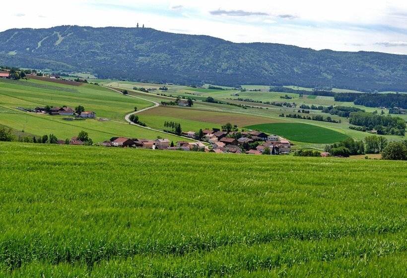 Отель Gasthof Altmann