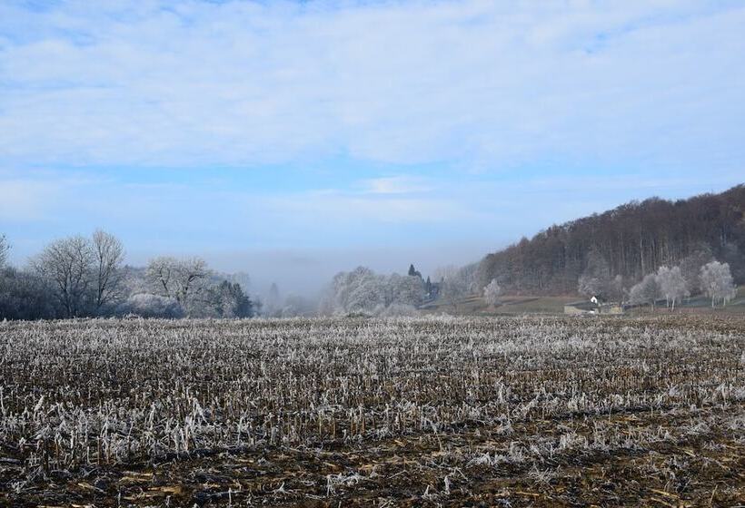 酒店 Gasthof Bergfriede