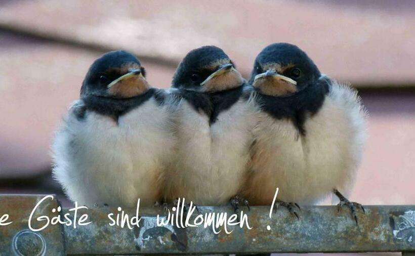 호텔 & Gasthof Garküche