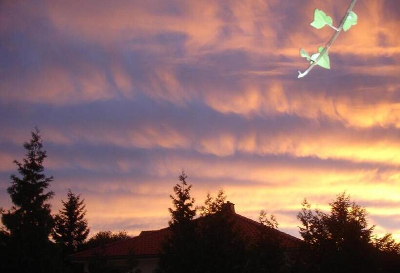 호텔 Harzer Ferienpension