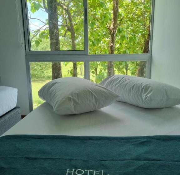 Отель Puerto Triunfo