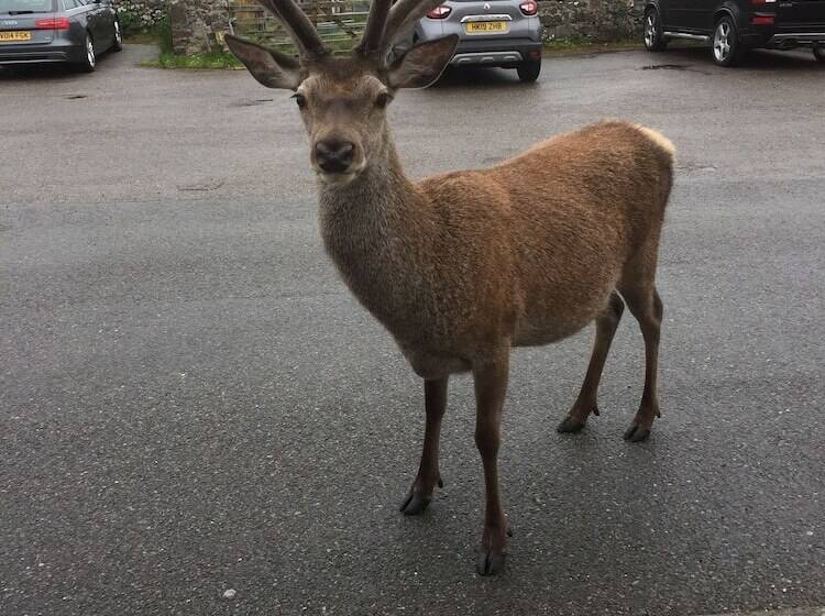 ホテル The Drumbeg