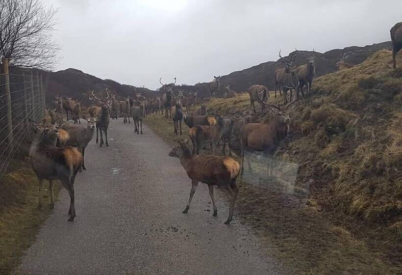 ホテル The Drumbeg