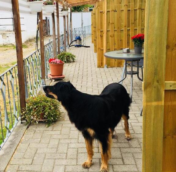 Landgasthaus & Pension Liebner Land Brandenburg Prignitz