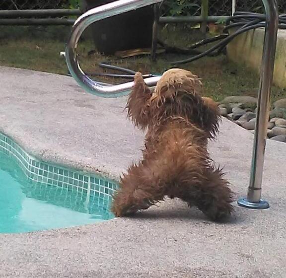 Пансион Arococles