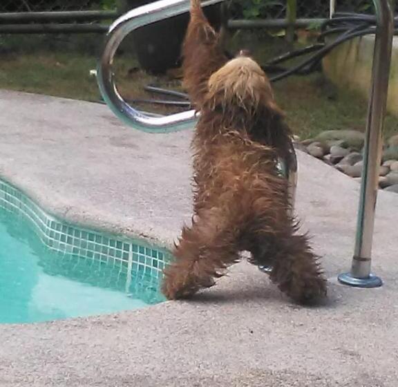 Пансион Arococles