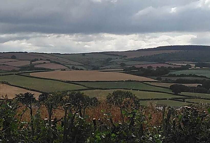 بنسيون Cedar House