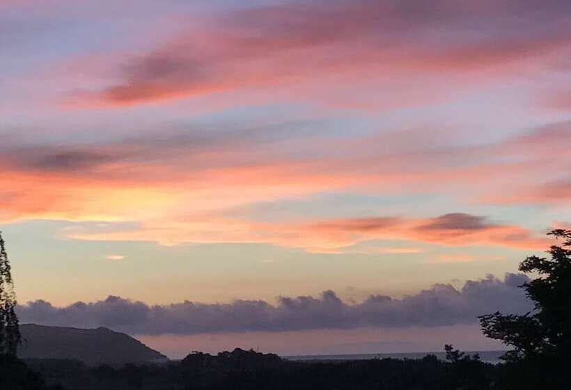 بنسيون Cedar House