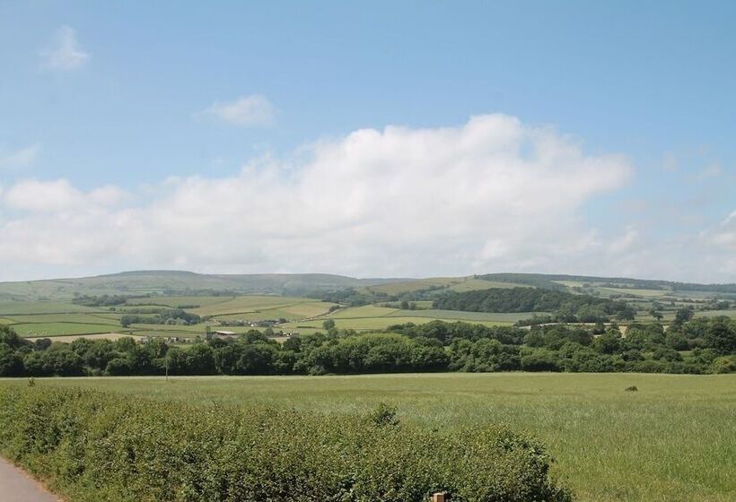 بنسيون Cedar House