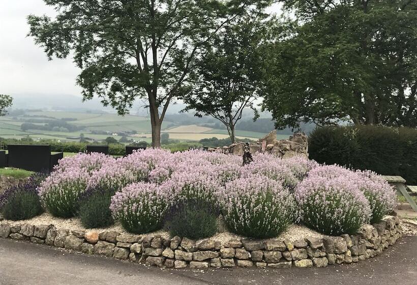 بنسيون Cedar House