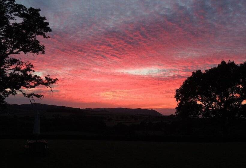 بنسيون Cedar House