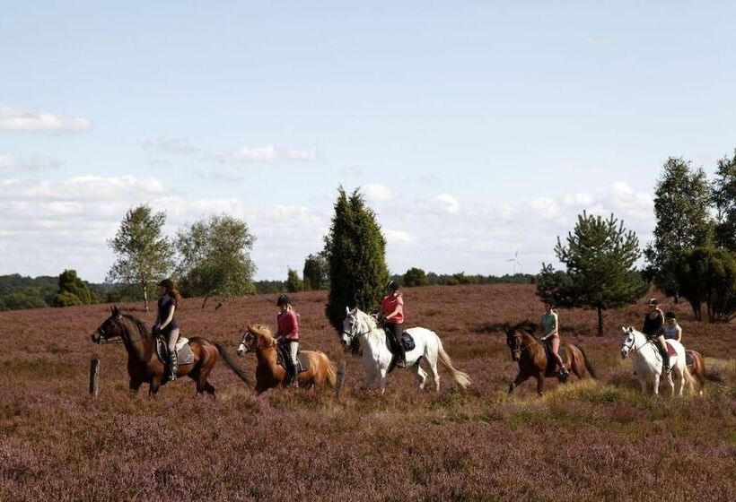 بنسيون Ferienhof Cohrs   Gästehaus