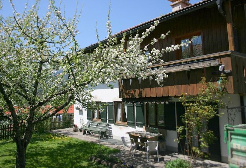 Пансион Gästehäuser Holzerhof