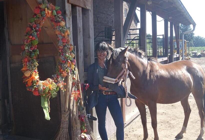 Пансион Gutshof Zum Adlernest