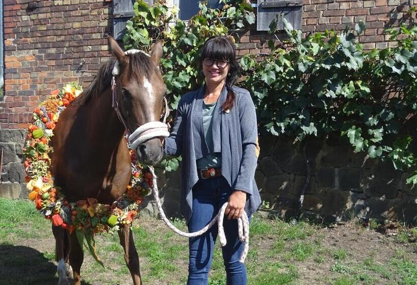 Пансион Gutshof Zum Adlernest