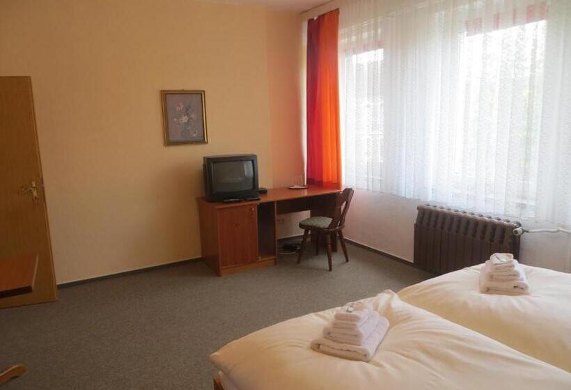 פנסיון Heidehotel Letzlingen