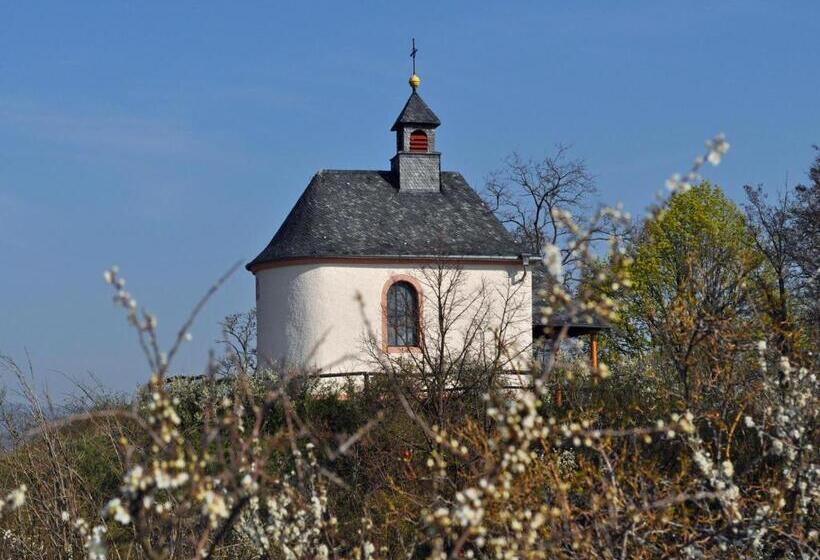 بنسيون Hofgarten Rosa