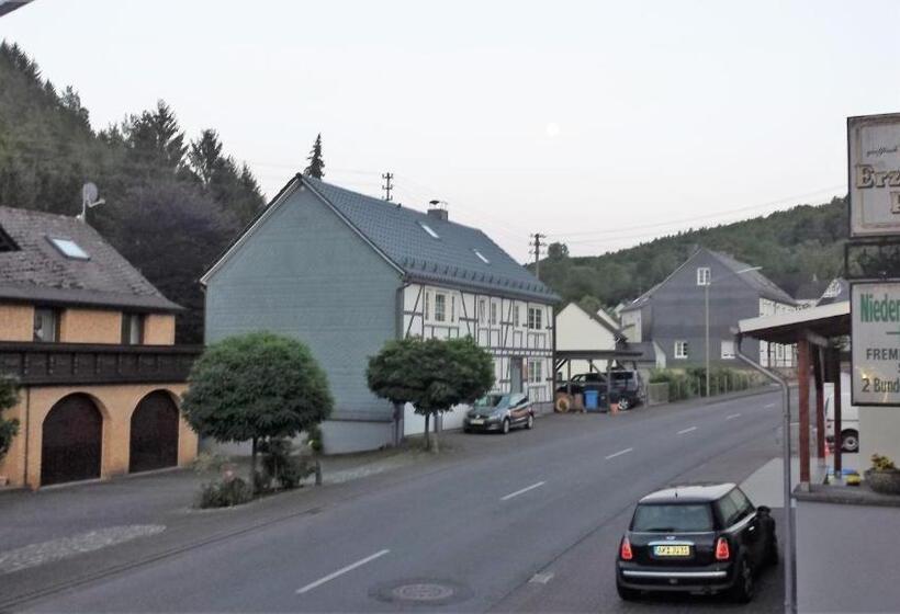 ペンション Niederdreisbacher Hof