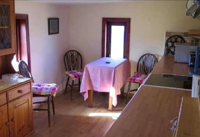 بنسيون The Spiggie