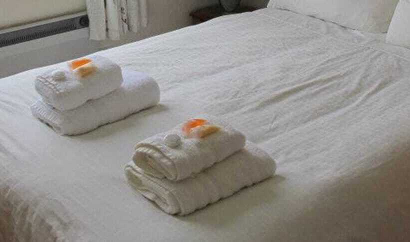 بنسيون The Spiggie