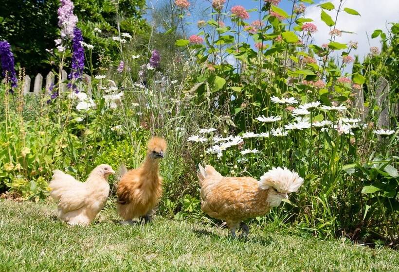 The Graig B&b Ludlow