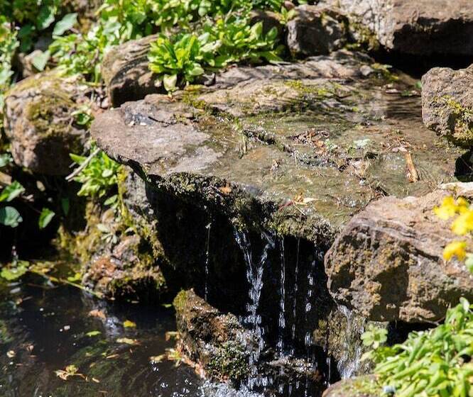 The Graig B&b Ludlow