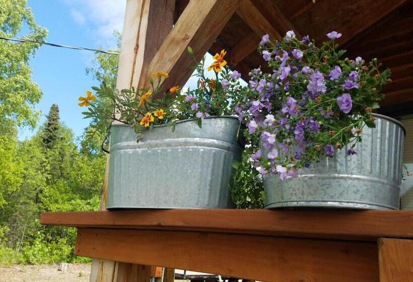 ユースホステル Cache Cabins