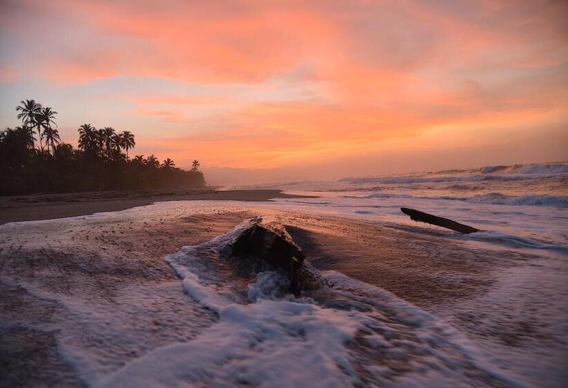 הוסטל Masaya Tayrona & Beach Club