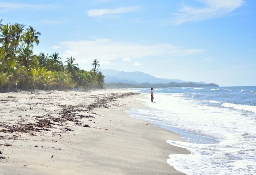 הוסטל Masaya Tayrona & Beach Club