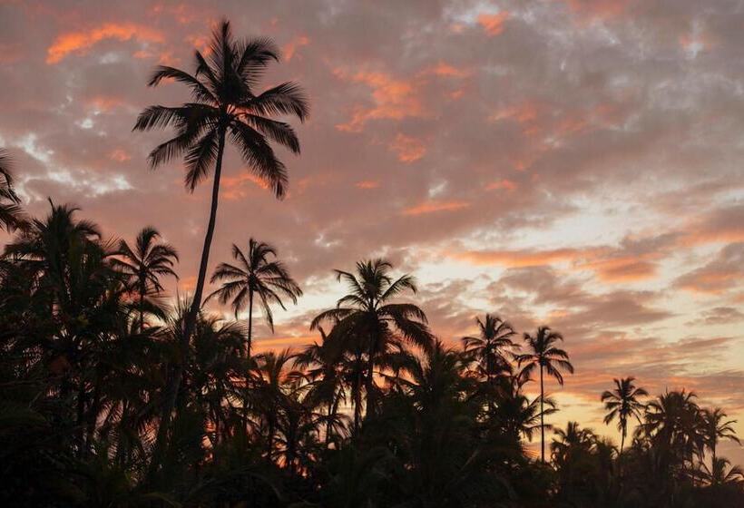 הוסטל Masaya Tayrona & Beach Club