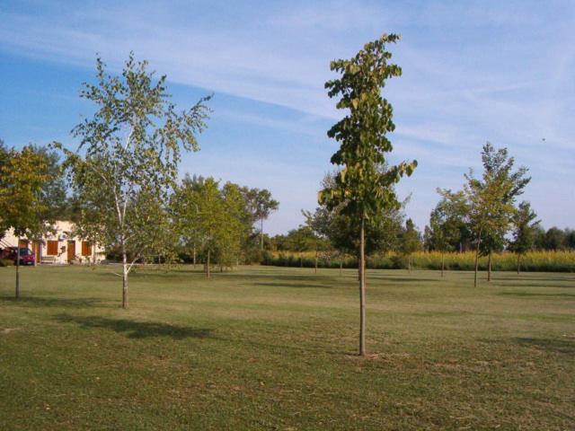 Общежитие Laghi Paradiso