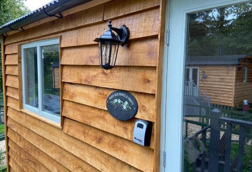 Общежитие The Apple Inn