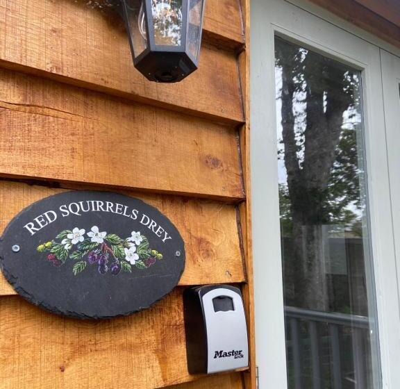 Общежитие The Apple Inn