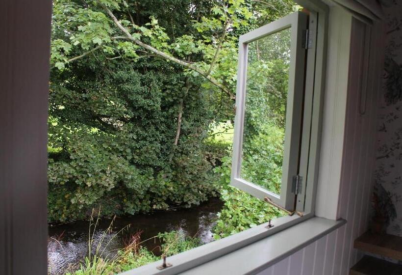 Общежитие The Apple Inn