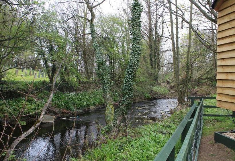 Общежитие The Apple Inn