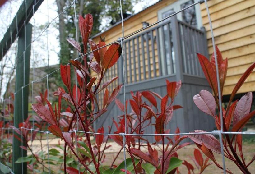 ユースホステル The Apple Inn