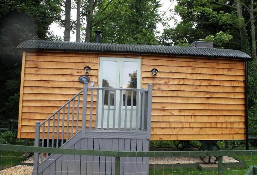 Общежитие The Apple Inn