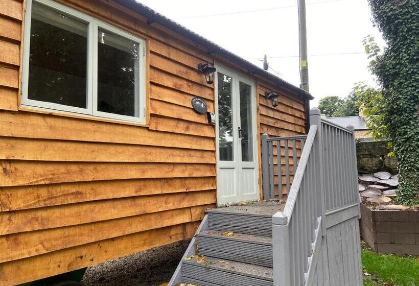 Общежитие The Apple Inn